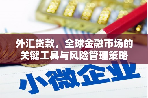 港北外汇贷款，全球金融市场的关键工具与风险管理策略